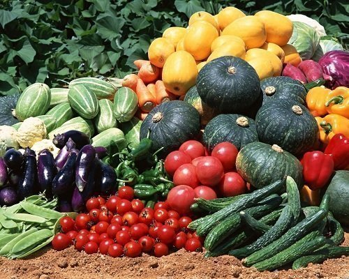 Выращенные на даче овощи и фрукты собственного урожая могут быть далеко не такими полезными, как принято считать...